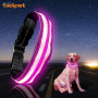 2021 Neues benutzerdefiniertes Logo-Knopfzellen-Batterie-LED-Halsband für Hunde Blinkendes beleuchtetes Haustier-Hundehalsband Machen Sie Haustiere sicher