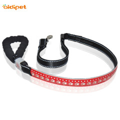 Hohlmuster Lederleine für Hund AIDI Licht Hundehalsband mit Leine USB Beliebte Led Hundeleine Großhandel