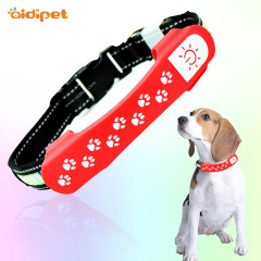 Silicone Waterproof Led Dog Collar Leash Light Dilepas Light Up Dog Pet Collar Leash Aksesori