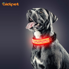 Colliers de chien lumineux en cuir PU à motif creux rechargeables par USB clignotant la nuit