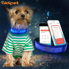 USB charge APP contrôle LED affichage collier de chien PU cuir motif bricolage SMS LED collier Anti-perte