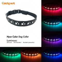 2019 NOUVELLE arrivée Led Dog Collar and Leash Hollow Pattern Collier Led rechargeable pour chien