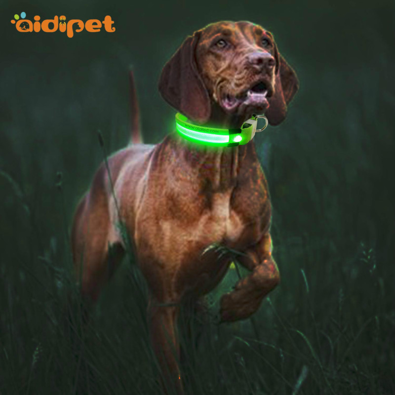 Led Pets Collars Anti-lost Night Led Usb Charging Dog Collar Luminous Nylon Flashing Dog Leash And Collar Set