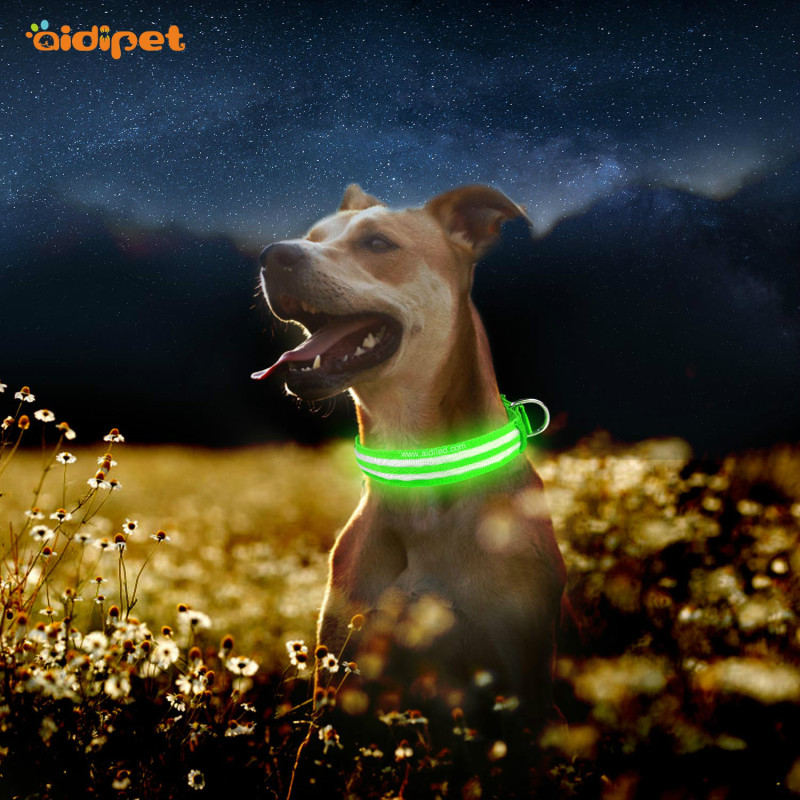 Nice Design Dual Optical Fibers USB Rechargeable Dog Collars Led Flashing Light Up Collar Para Perro Walking At Night