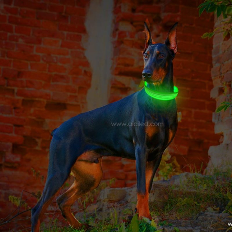 Reflective Pup Dog Collar Light with USB Rechargeable Wholesale Illuminated Pet Dog Light up Collar