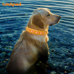 Collier de chien en cuir PU USB rechargeable clignotant Led collier animal de compagnie pour la sécurité de la marche de nuit