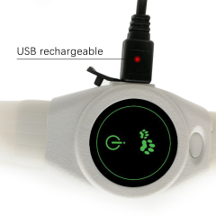 USB wiederaufladbares wasserdichtes LED-Hundehalsband Licht in dunklem ECO-Silikon, freie Größe, süßes, schickes Hundehalsband