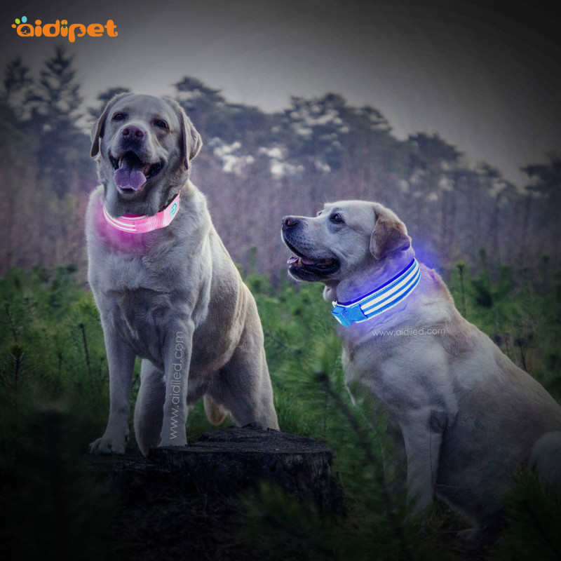 Anti-Lost Pet Dog ID Address Label Tag Barrel Tube ,Anti Lost Barrel Tube Collar Dog Tags