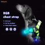 Großhandel Hundeleine / Hundehalsband blinkende LED beleuchtete Hundeleine, Hundegeschirr