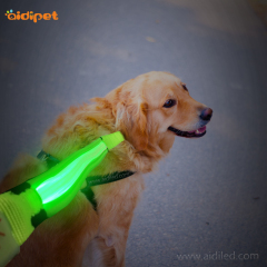 Fita de Nylon Peixe Led Coleira para Cachorro Luz Recarregável Luminosa Anti-perda Segurança Caminhada Luz LED Coleira para Animais de Estimação
