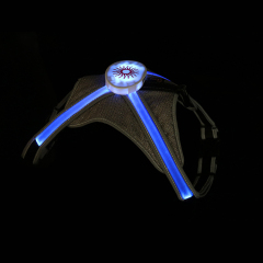 Haustiergeschirr mit individuellem Muster, Großhandel, LED-RGB-niedliches Hundegeschirr, im Dunkeln leuchtendes Geschirr
