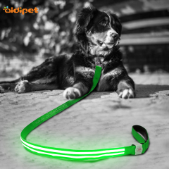 Logo personnalisé lumineux marque led chien laisse pour animaux de compagnie marchant à l'extérieur lueur dans la laisse pour animaux de compagnie de chien sombre