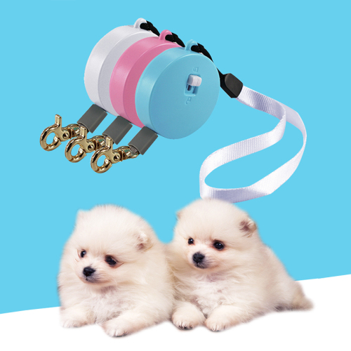 Small Dog Leash for MINI Dogs Portable Puppy Collar Leash Set Pocket Lightweight Retractable Pet Leash for Teddy