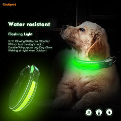 Vente en gros de nouveaux accessoires de collier pour animaux de compagnie pour chiens et chats Anti-perte LED Light Dog Tag