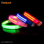 Best Selling Products Wholesale Dog Collars Waterproof Flashing Led Dog Collar Fashion Fancy Pet Dog Collar Light