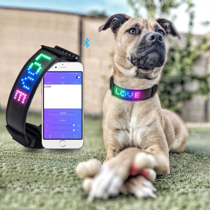 China Manufacturer Led Display Dog Collar Luxury Adjustable Collar for Dogs Pets