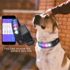 USB wiederaufladbar mit wasserfestem Blinklicht Halsband Haustier-App-gesteuerte Laufschrift Sicherheits-LED-Hundehalsband