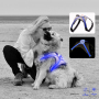 Haustiersicherheit Mehrere Farben Haustier-Hundegeschirr Leuchtende blinkende Outdoor-Hundegeschirr-Weste