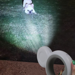 Multifunktionale einziehbare Hundeleine mit Taschenlampen-LED kann Poop-Taschen in die LED-einziehbare Haustierleine-Fabrik legen