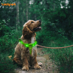 مقود الحيوانات الأليفة تسخير RGB وامض قوي الكلب تسخير شعار مخصص مع متعدد الألوان تضيء الكلب تسخير مضيئة