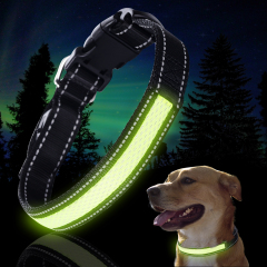 Collier et laisse pour chien en maille de nylon rechargeable par USB de taille standard Collier éclairé avec coutures réfléchissantes