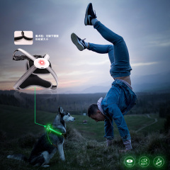 Harnais souple pour chien avec harnais rechargeable USB avec lumière RVB pour chiens