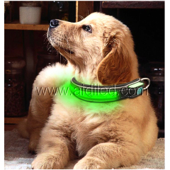 Accessori per animali domestici di sicurezza impermeabili 2022 Collare per cani da compagnia Led Safe Guard di notte Collare per cani AIDI imbottito con Led