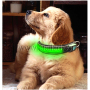 Accesorios de seguridad a prueba de agua para mascotas 2022 Collar de perro mascota Led guardia segura en la noche AIDI Collar de perro acolchado con Led