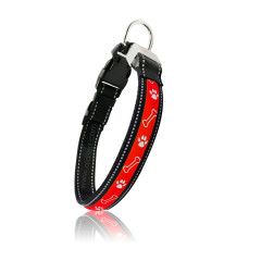 USB recargable Led perro mascota Collar Hundehalsband anzunden Led impermeable perro Collar con impresión