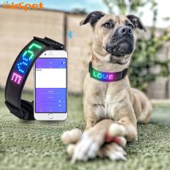 TPU-Hundehalsband APP-Steuerung Blinklicht Hundehalsbänder Leuchtende Blauzahn-Haustierhalsbänder