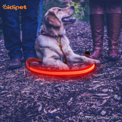 Hersteller von nicht taktischen Hundeleinen Leuchten blinkende Nylon-Led-Hundeleinen für die Sicherheit bei Nacht auf