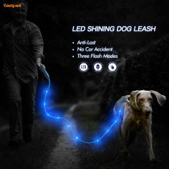 Laisse de chien de lumière LED en PVC Laisse de chien rechargeable par USB Laisse de sécurité pour animaux de compagnie de nuit