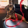 Illuminating Wholesale Walking Night Dog Leash Led Glowing USB Rechargeable Led Dog Leash Light