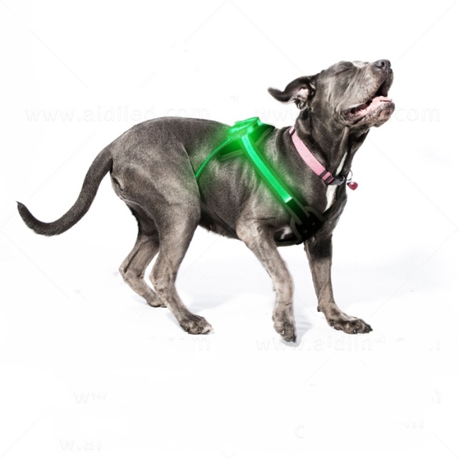 Arnés de perro de mascota suave personalizado de entrenamiento de poliéster de nailon ajustable Arnés de perro LED RGB del fabricante