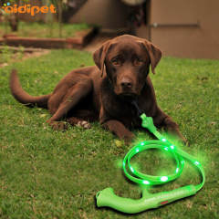 Nylon PVC-halsband en riem USB-oplaadbare led-hondenriem Lead Sterk trekkende hondenriem Led-licht