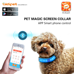 2021 pantalla Led intermitente Collar para mascotas Control de aplicación diente azul luces intermitentes Collar de perro 450mAh USB Collar de perro iluminado
