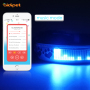 Led Flashing Dog Collar APP Control Display Blue Tooth Light up Dog Collar