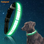 Pattern Led USB Rechargeable Flashing Dog Collar Red Blue Green Night Safety Luminous Pet Dog Collars Bulk Wholesale