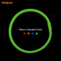 2021 New Products Light up Dog Collar Pet Led Flashing Dog Collar Night Walking Glowing Dog Collar