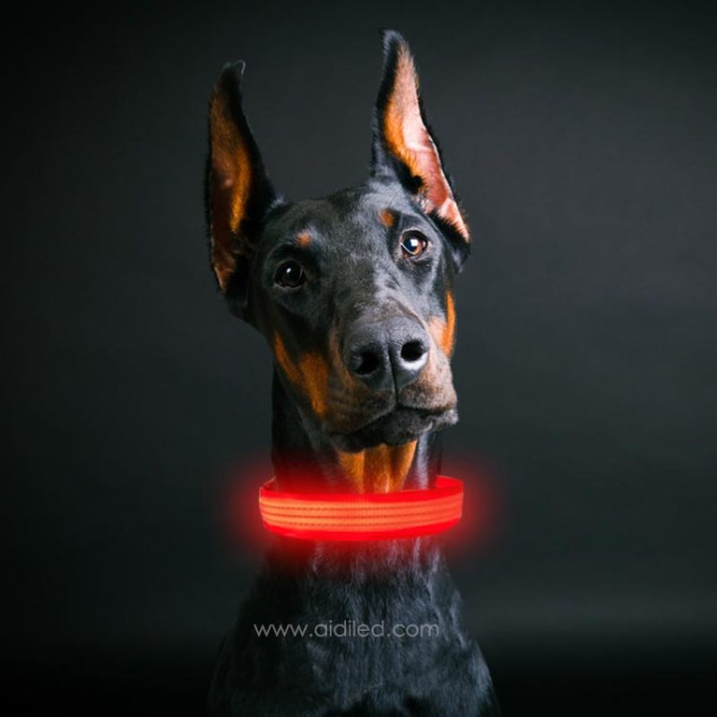 Customised Logo USB Rechargeable Dog Collars Three Flashing Modes Lighted Pet Collar Factory