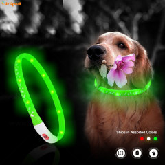 Collier de chien USB rechargeable résistant à l'eau lumière clignotante collier et laisse de chien en silicone