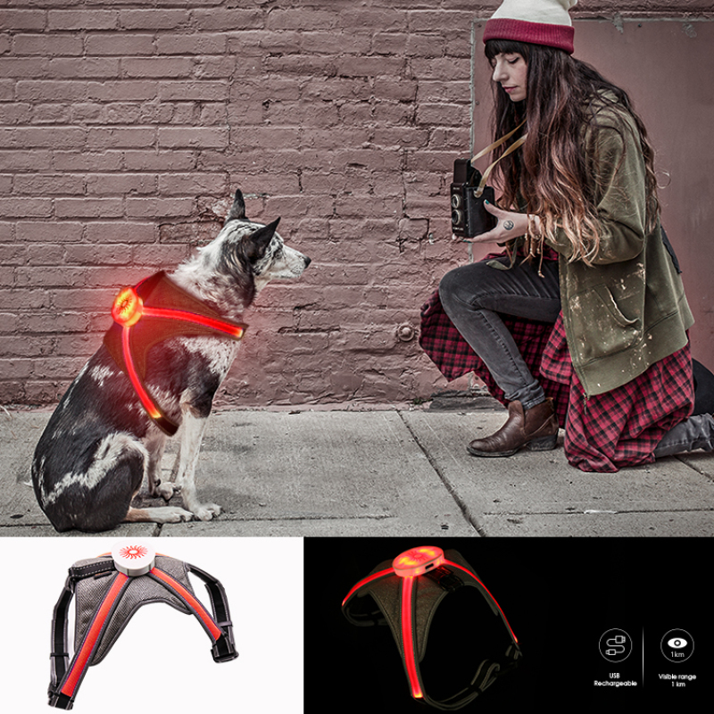 Manufacturer Wholesale Dog Reflective Safety Vest Breathable Multi-color Led Dog Harness RGB Light Dog Safety Vest Harness