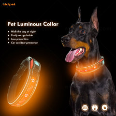 Nova coleira personalizada para cães e gatos Tag anti-perdida com luz LED para cães no atacado