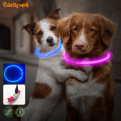USB Wiederaufladbares Sicherheitshalsband Leuchtendes Mode TPU Beleuchtung Hundehalsband 2021 Led Halsband Hund