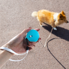 Taschen-Welpen-Hundeleine für kleine Hunde Einziehbare benutzerdefinierte Hundeleinen führen Katzen-Kleintierleine