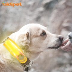 Utile collare per guinzaglio per cani di piccola taglia Accessorio per collare per cani con luce lampeggiante Collare per guinzaglio per cani con luce staccabile