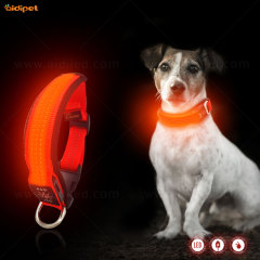 Collier de chien en cuir rembourré avec Logo personnalisé Led collier de chien en Nylon réfléchissant clignotant avec colliers de chien LED à lueur USB