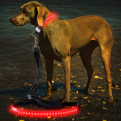 Laisse réglable de chien d'unité centrale avec la lumière clignotante menée de modèle creux de laisse de chien menée d'animal familier
