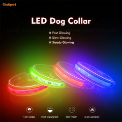 Nuovi accessori personalizzati per collari per animali domestici per cani e gatti Medaglietta per cani anti-smarrimento a LED