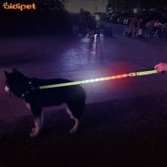 Prix ​​​​raisonnable laisse de chien lumière LED laisse de chien de sécurité nocturne lumineuse en nylon pour animaux de compagnie avec lumière RVB